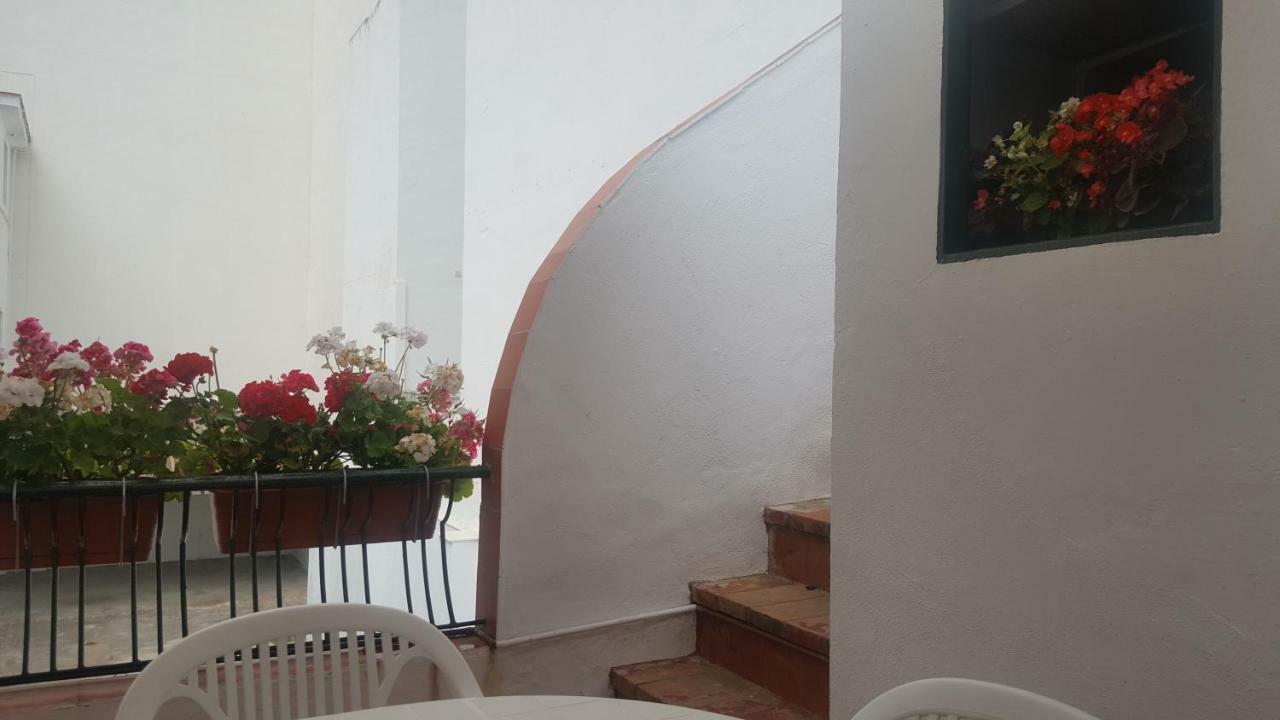 Pension Yna Holiday Μάλαγα Εξωτερικό φωτογραφία